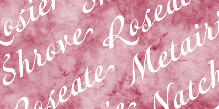 Metairie Font Family插图2