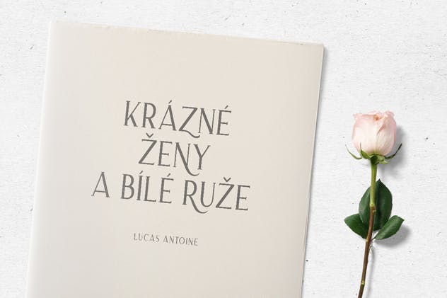 经典优雅外观衬线英文字体下载 Merova – Classic Serif (5 Fonts)插图(3)