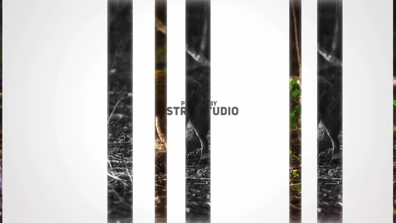 华丽的动画效果照片幻灯片素材库精选AE模板