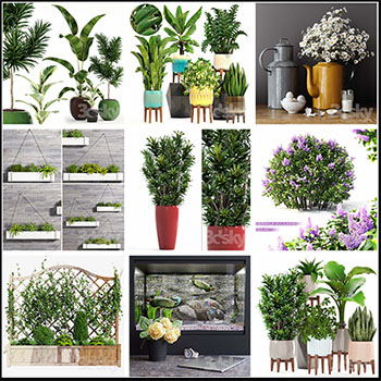 147款绿色盆栽盆景植物素材之家精选3D模型