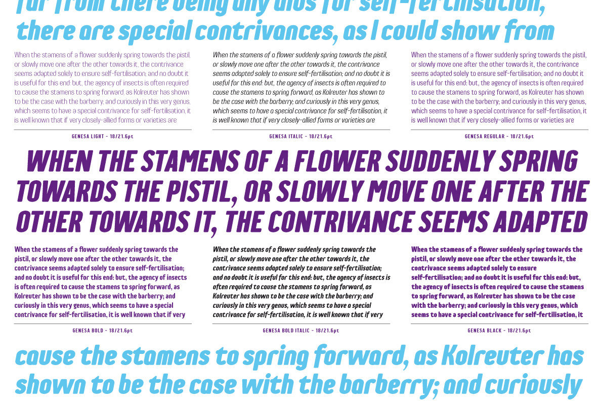 Genesa Font Family插图3