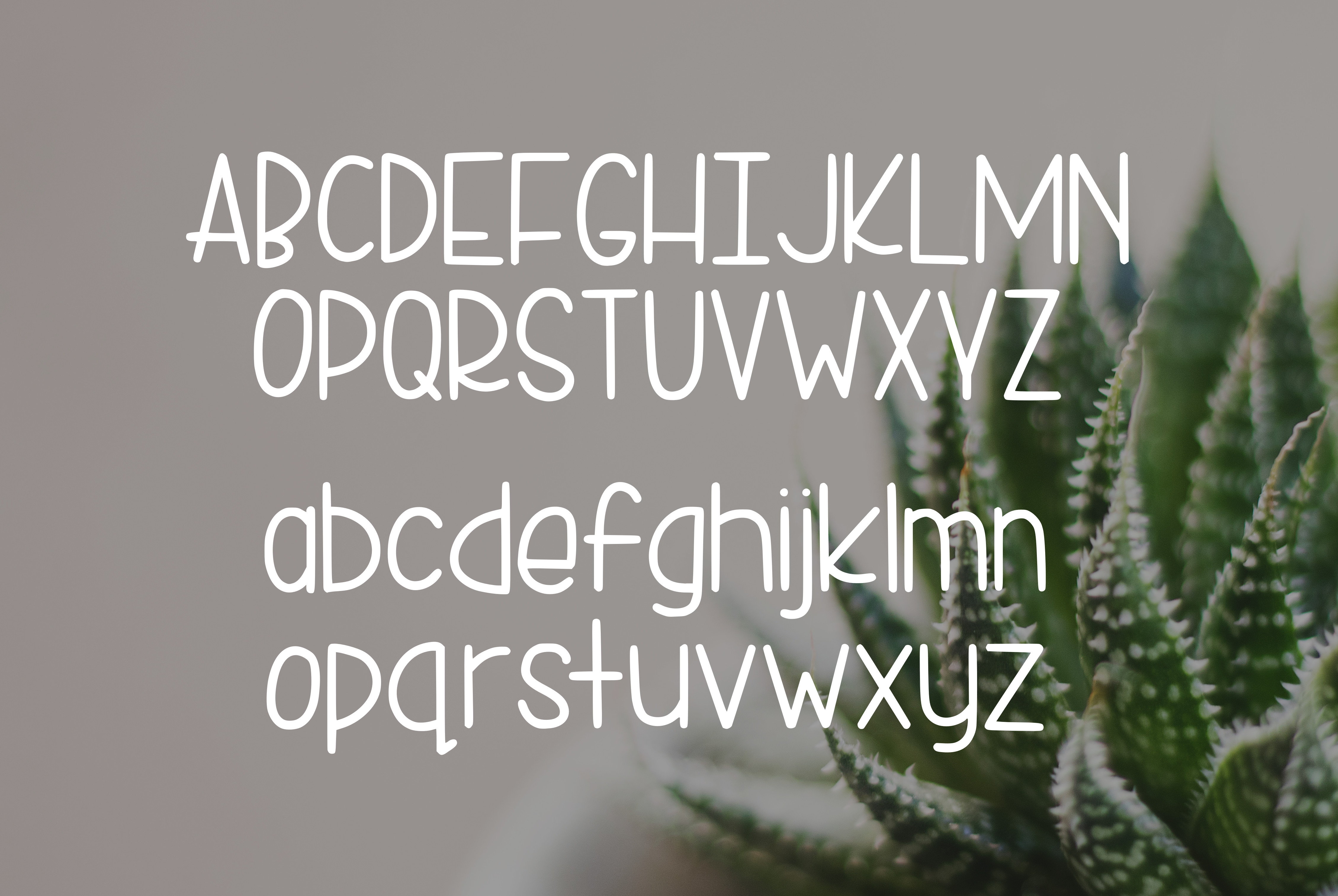 Simple Sunday插图1