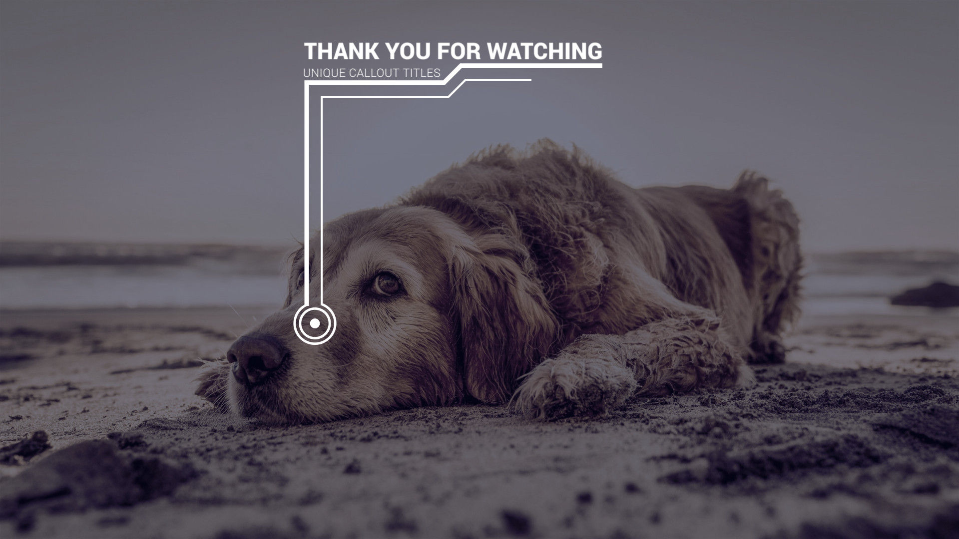 15个独特标注标题的素材库推荐PR模板