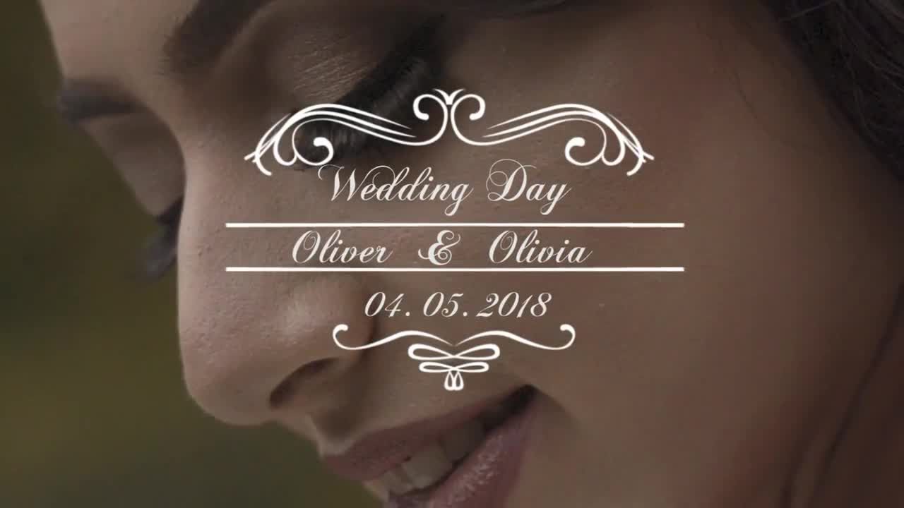 浪漫的婚礼婚庆结婚纪念视频特效PR模板