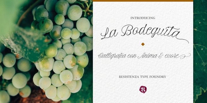 La Bodeguita Font Family插图1