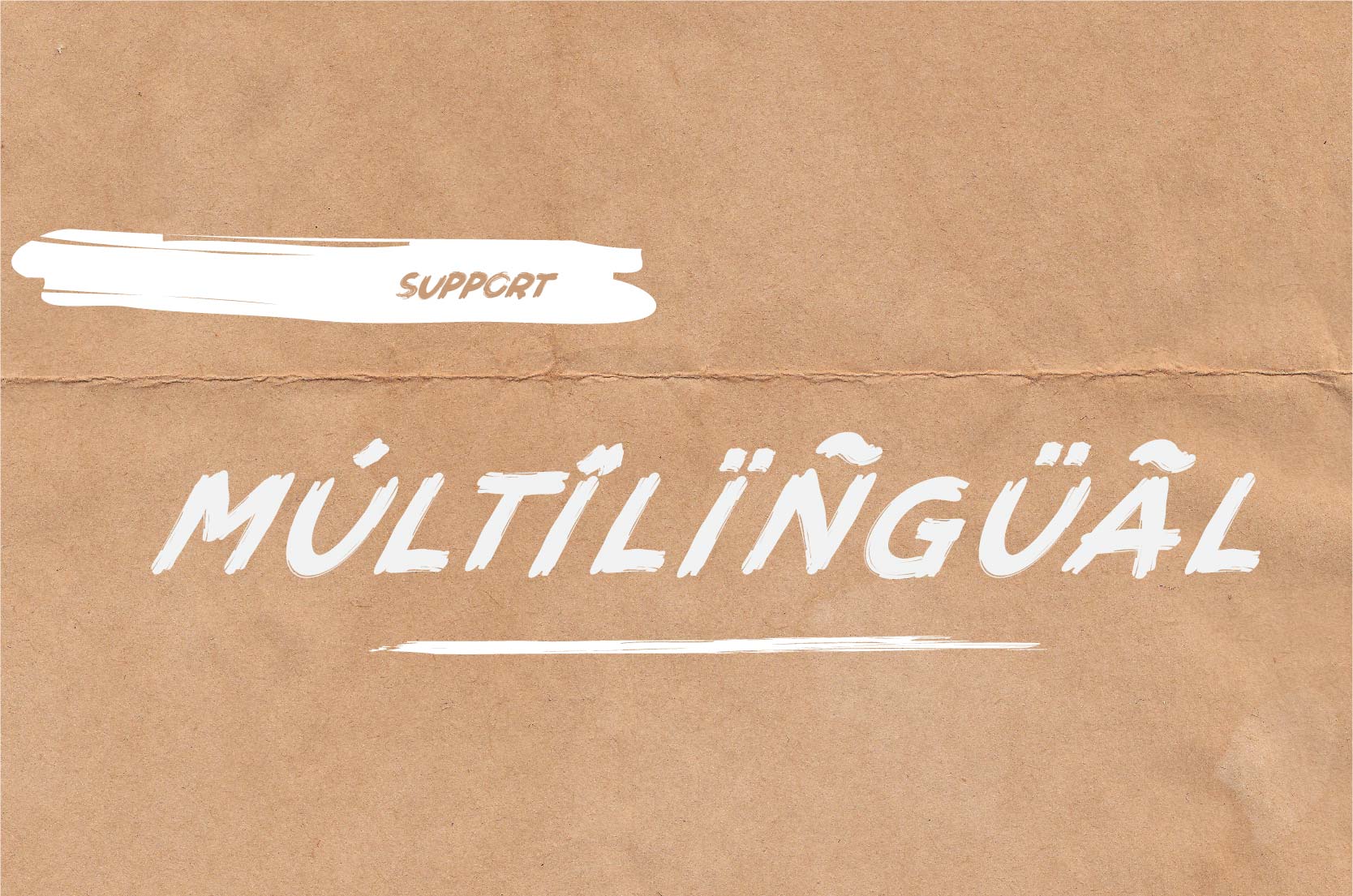 Brushot 4 Font Plus Swash插图2