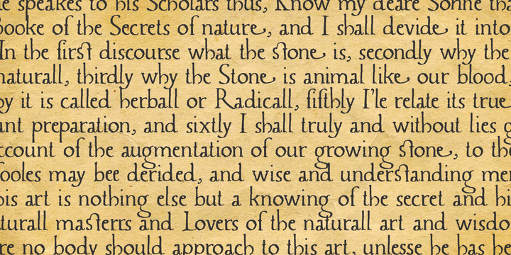 Caerphilly Font Family插图2