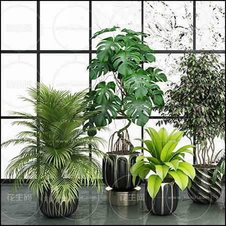 绿色花卉盆栽植物素材之家精选3D模型