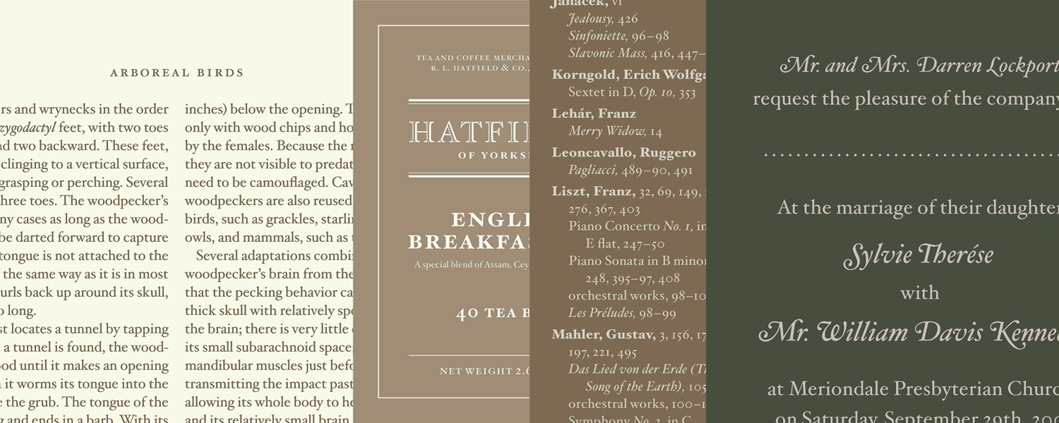 Hoefler Text Pro 2018 Font Family插图4