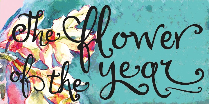 Lirio Font Family插图