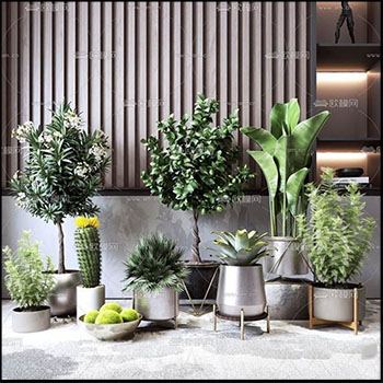 盆栽绿色植物合集素材之家精选3D模型