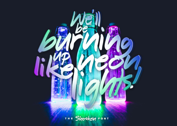 Shooken Font插图4