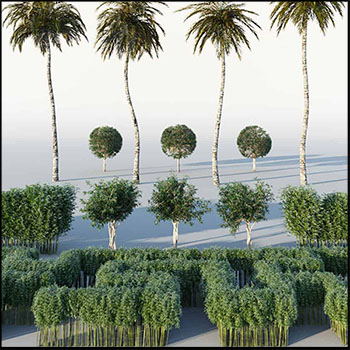 一套热带绿色植物素材之家精选3D模型