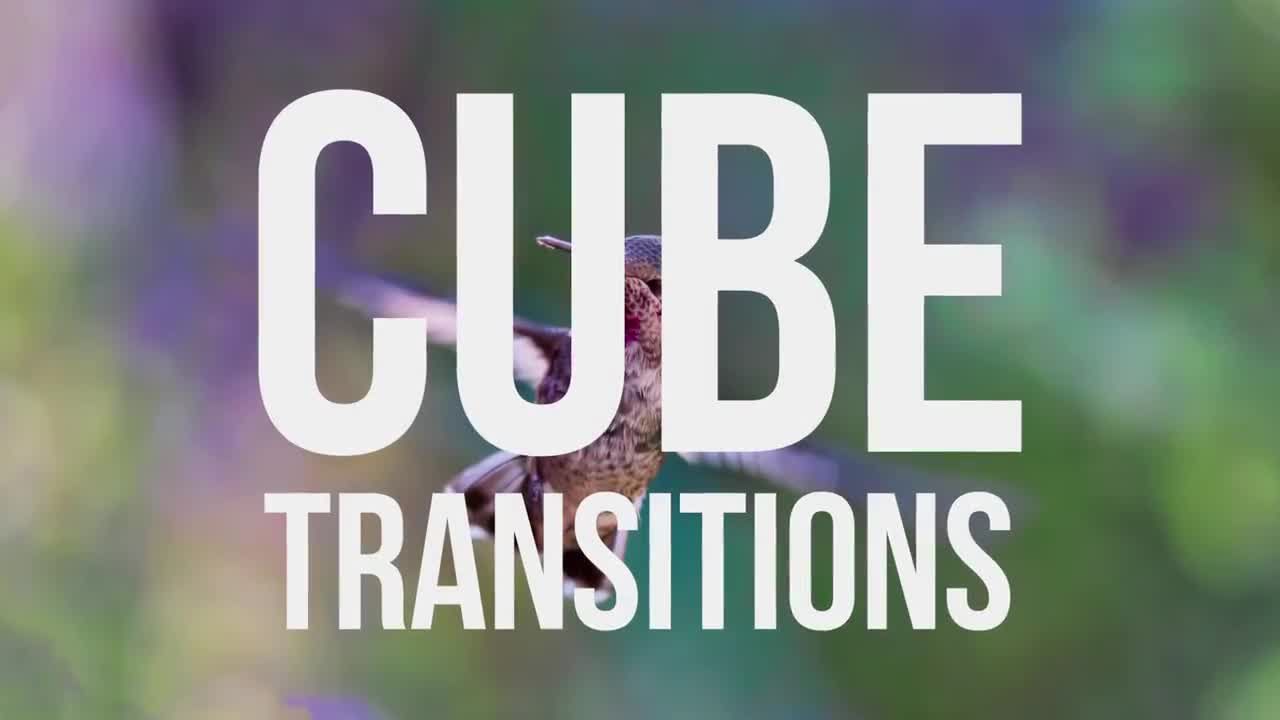 富有创意的图形动画企业Logo展示素材库精选AE模板