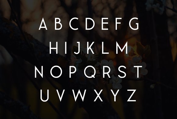 OLav Font Regular插图3