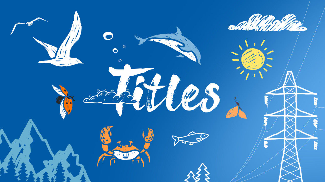 度假旅行手绘标题素材库精选AE模板