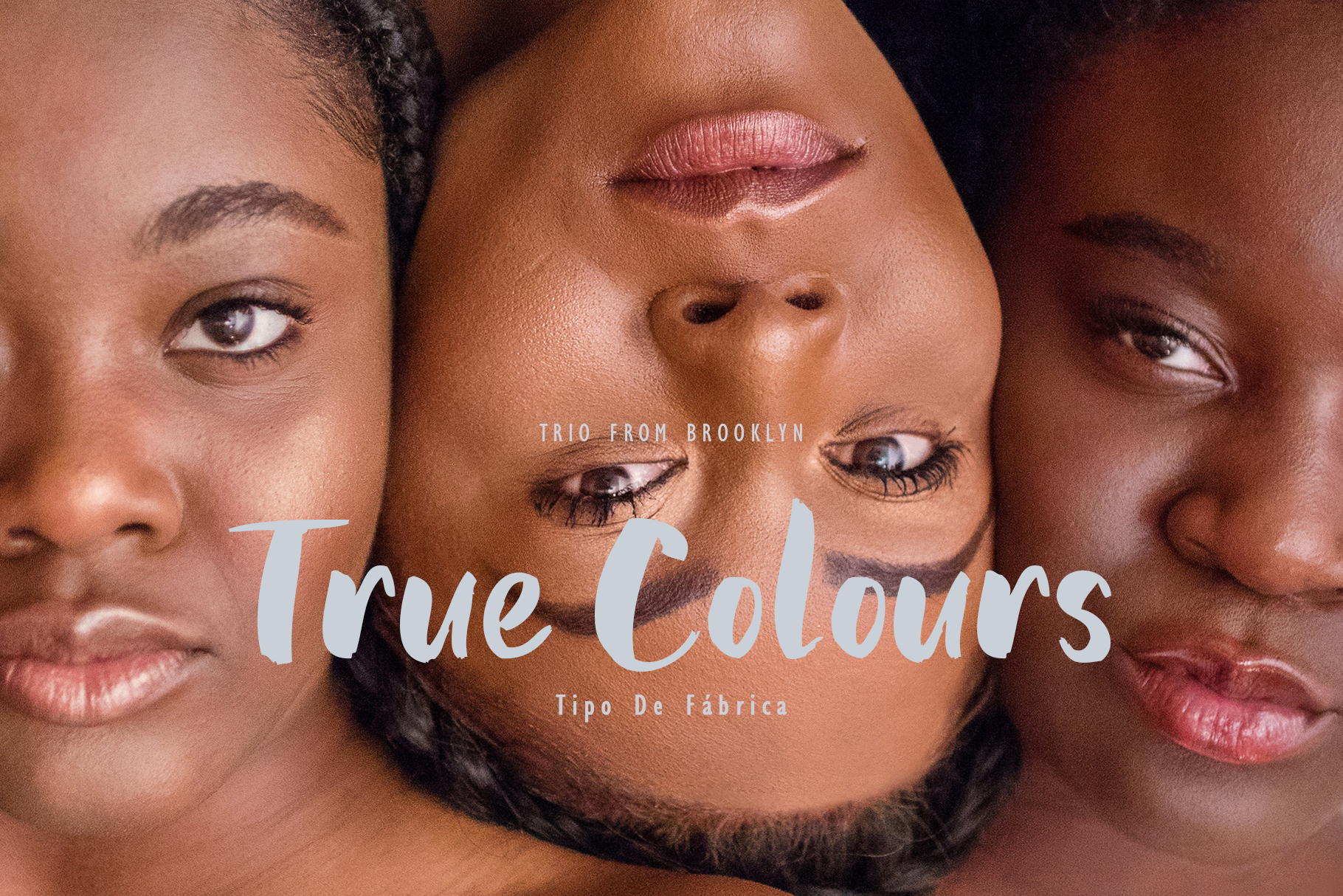 Bold Not Regular FontRegular Font插图4