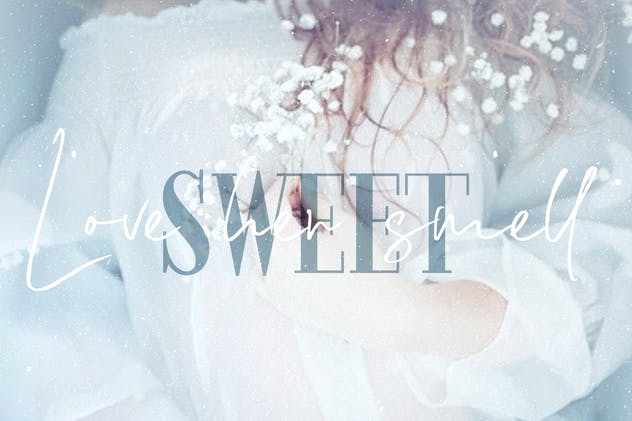 二重奏连体英文＆衬线字体 Lemonade Fonts Duo插图(15)