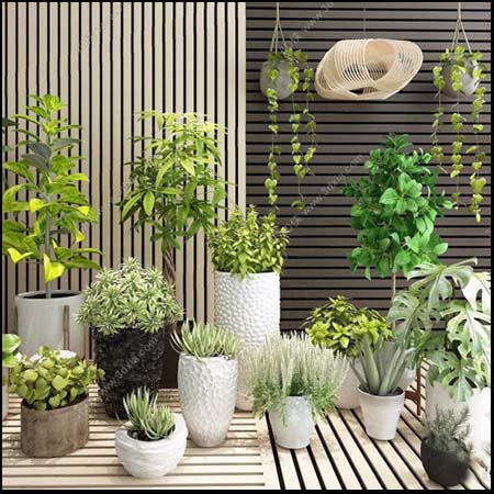 现代植物盆栽吊兰绿色植物素材之家精选3D模型