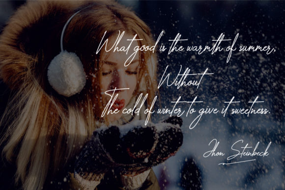 The Wallstreet Font插图3