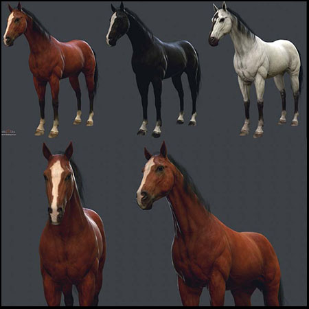 游戏中的骏马低多边形素材之家精选3D模型