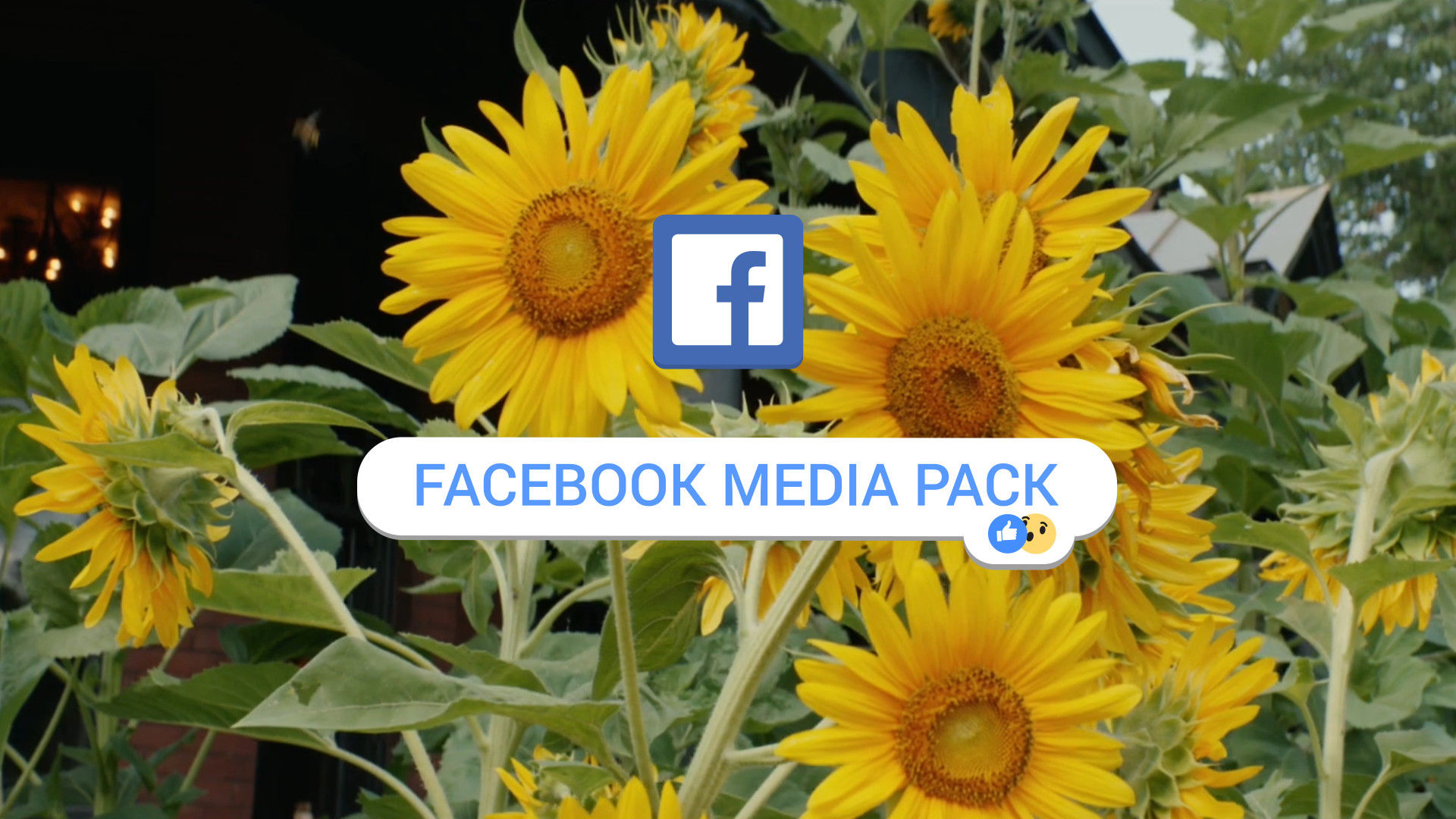 简洁富有创意的社交媒体包素材库精选AE模板