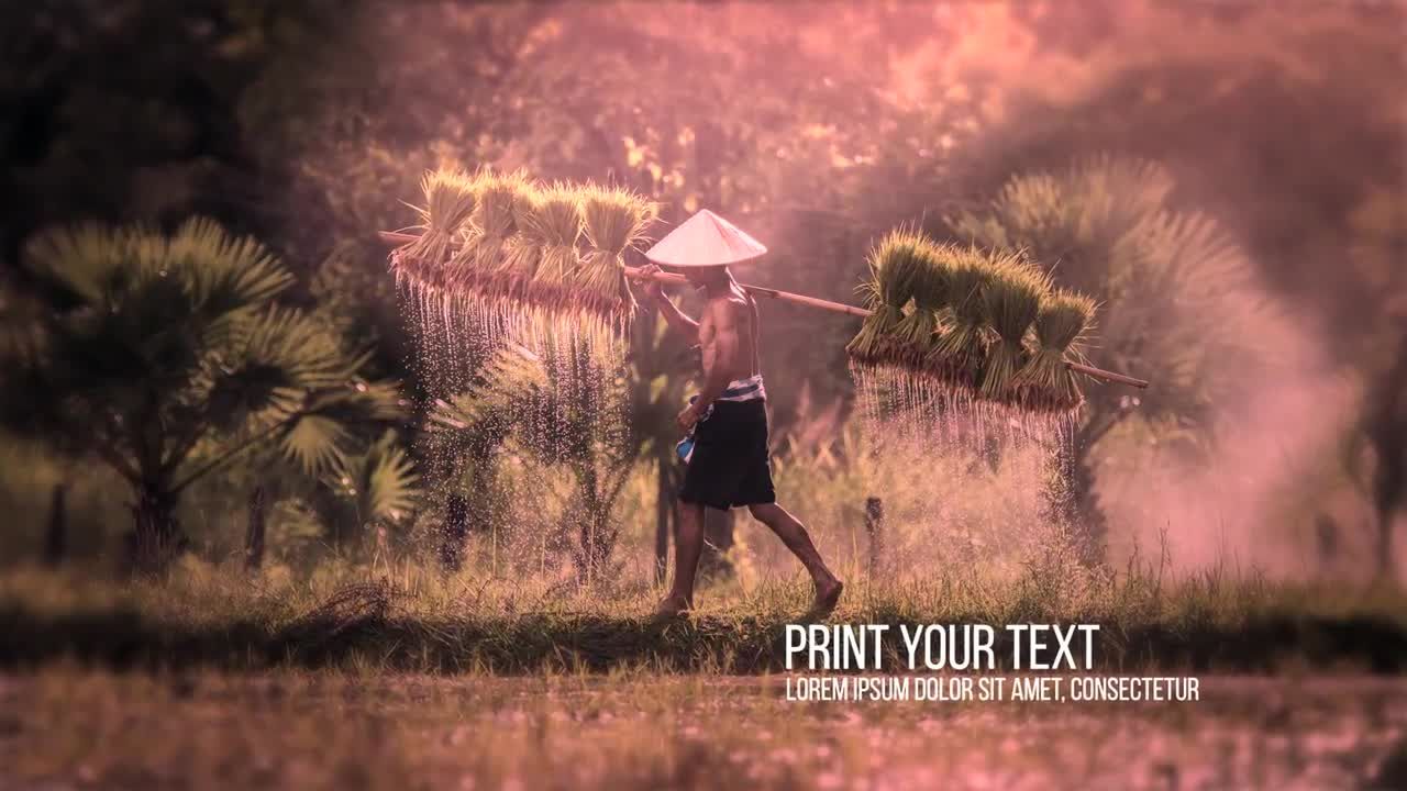 现代时尚设计照片动画展示素材库精选AE模板