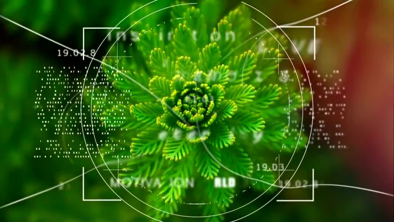 史诗级的电影即时感效果素材库精选AE模板