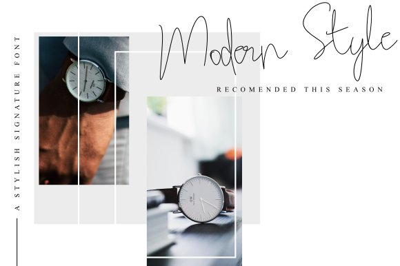 Steffano Font插图2