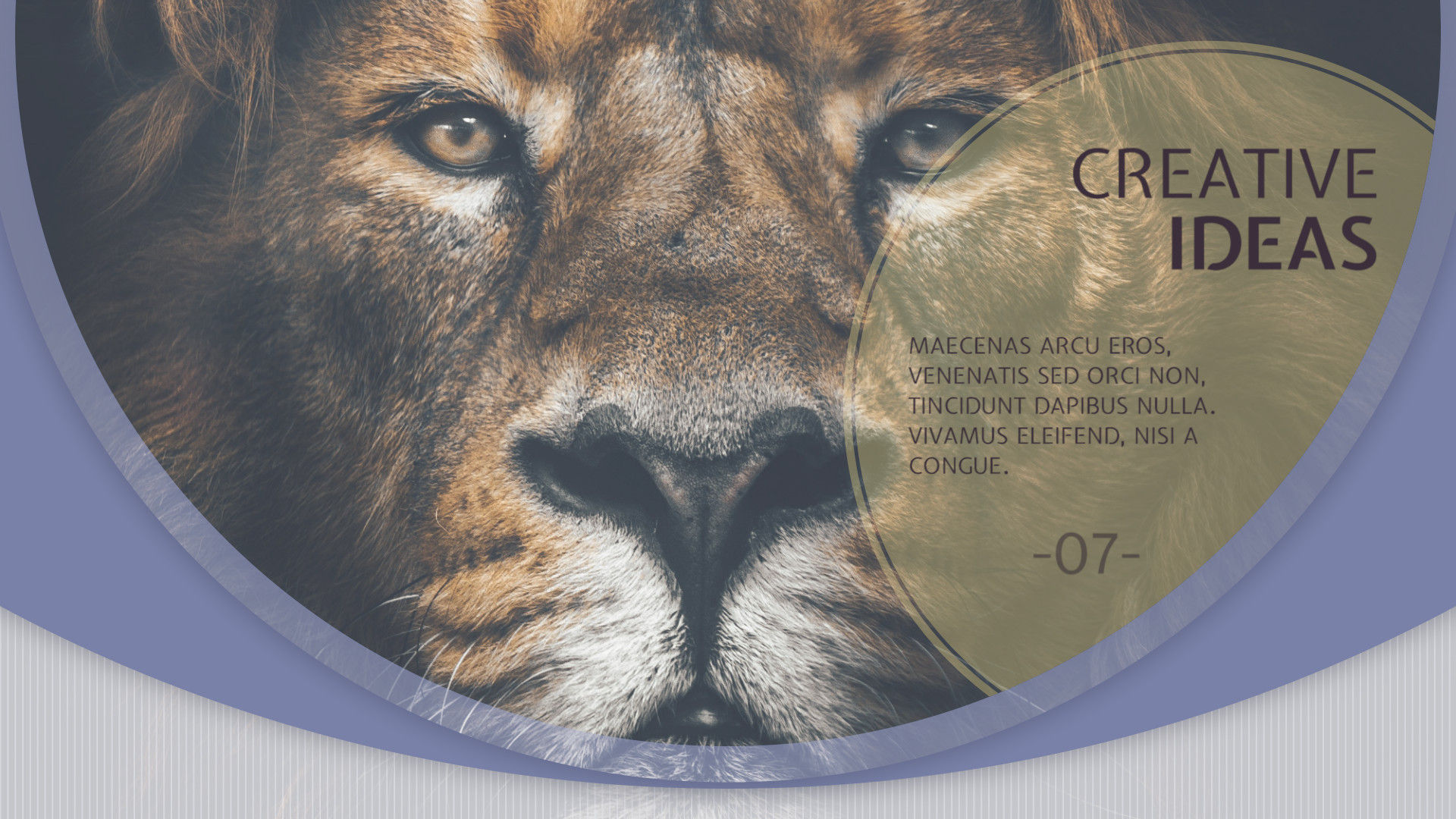 企业演示文本动画幻灯片素材库精选PR模板