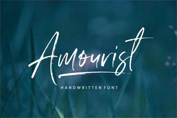 Amourist font插图