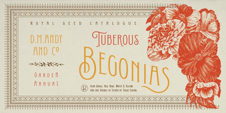 Conserta Font Family素材之家精选英文字体