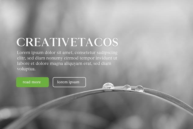 现代极简英文版式设计衬线字体 Maiah Serif Font Family Pack插图(6)