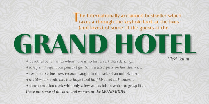 Astoria Classic Sans Font Family插图1