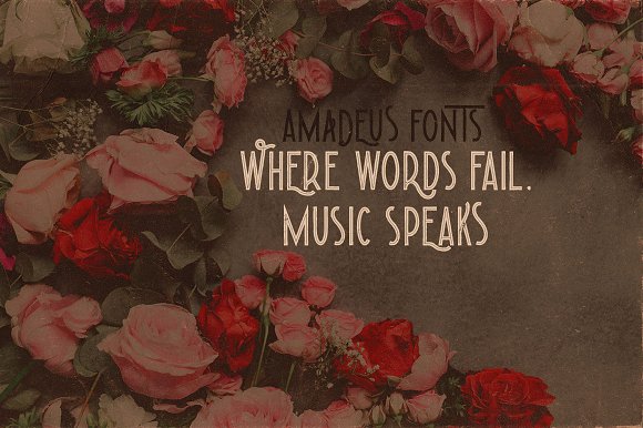 Amadeus – Display Font插图3