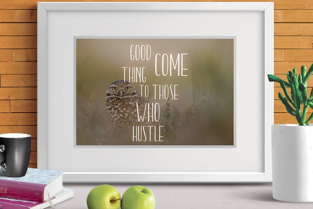 细长手写书法英文无衬线字体 Billgrotia插图(4)