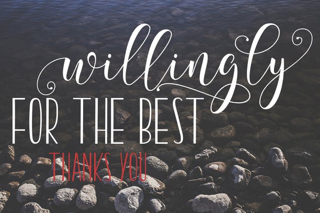 细长手写书法英文无衬线字体 Billgrotia插图(5)