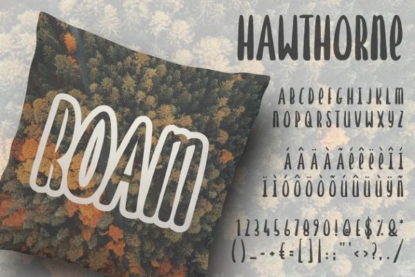 可爱风格胖体英文手绘无衬线字体 Hawthorne Hand Drawn Font