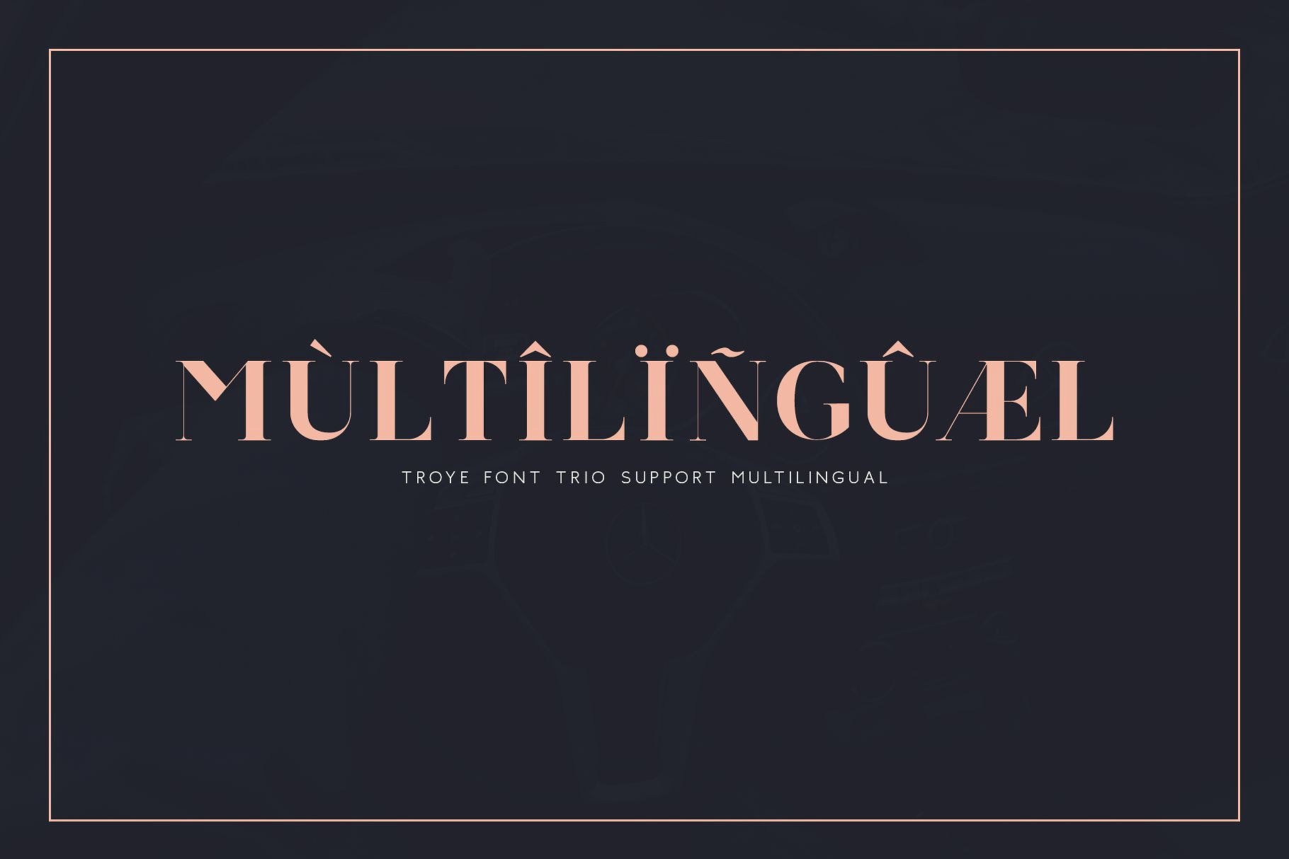 干净&奢华的特洛伊字体三重奏 Troye Font Trio [jpg,otf,ttf]插图(21)